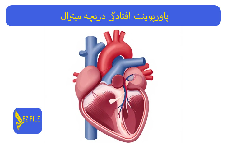 کاور محصول