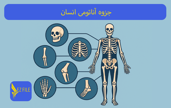 کاور محصول