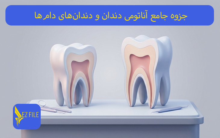 جزوه جامع آناتومی دندان و دندان‌های دام‌ها