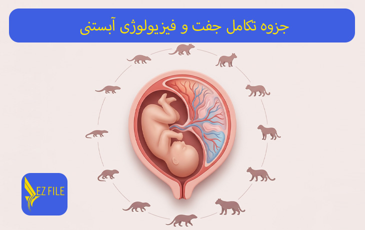 جزوه تکامل جفت و فیزیولوژی آبستنی
