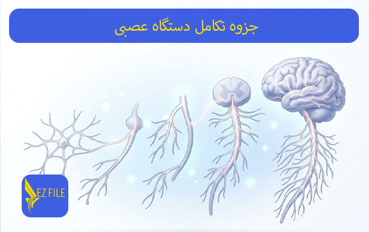 کاور محصول