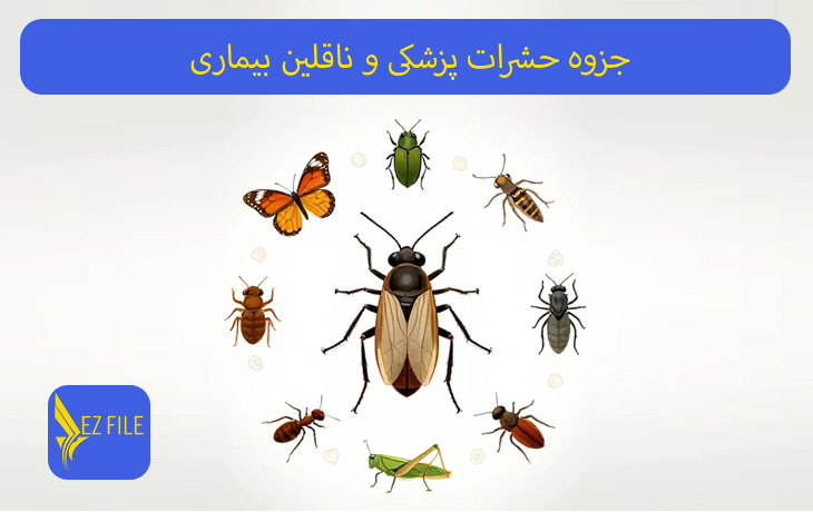 کاور محصول