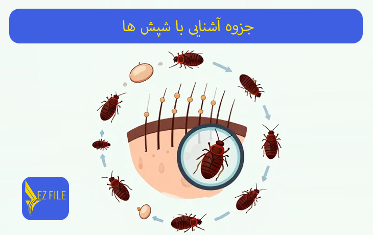 کاور محصول