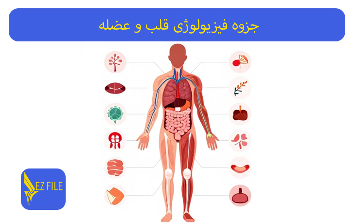 کاور محصول