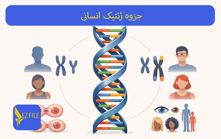 کاور محصول