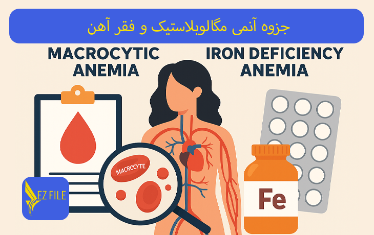 جزوه آنمی مگالوبلاستیک و فقر آهن
