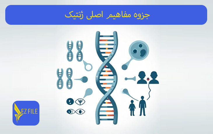 جزوه مفاهیم اصلی ژنتیک