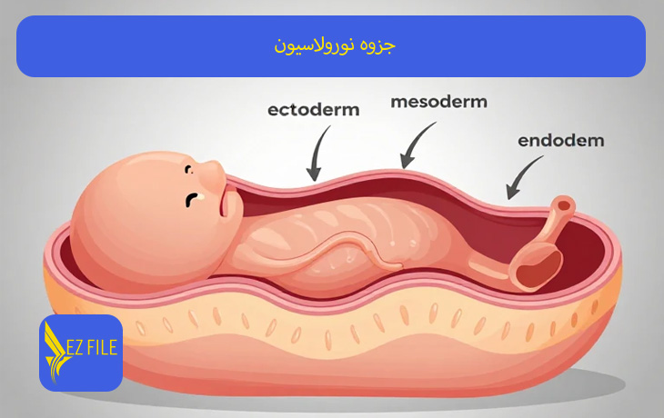 کاور محصول