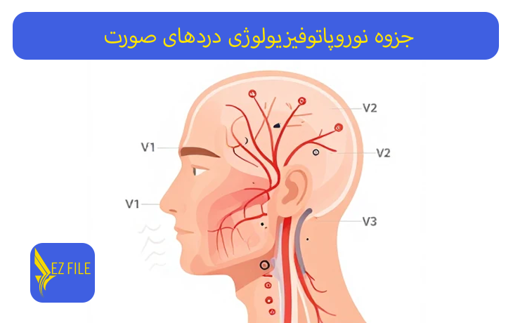 کاور محصول