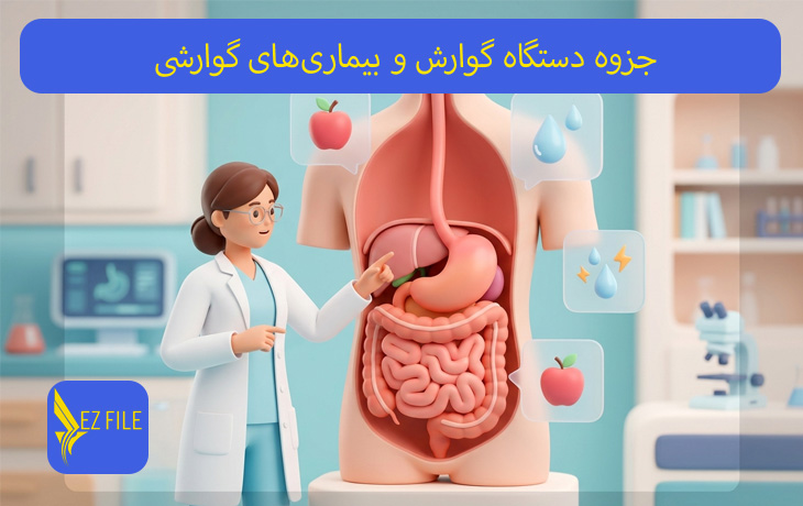 جزوه دستگاه گوارش و بیماری‌های گوارشی