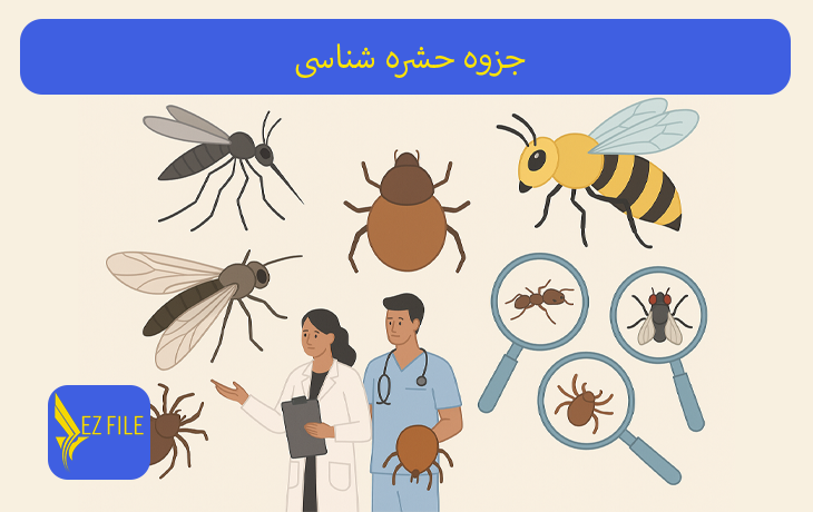 کاور محصول