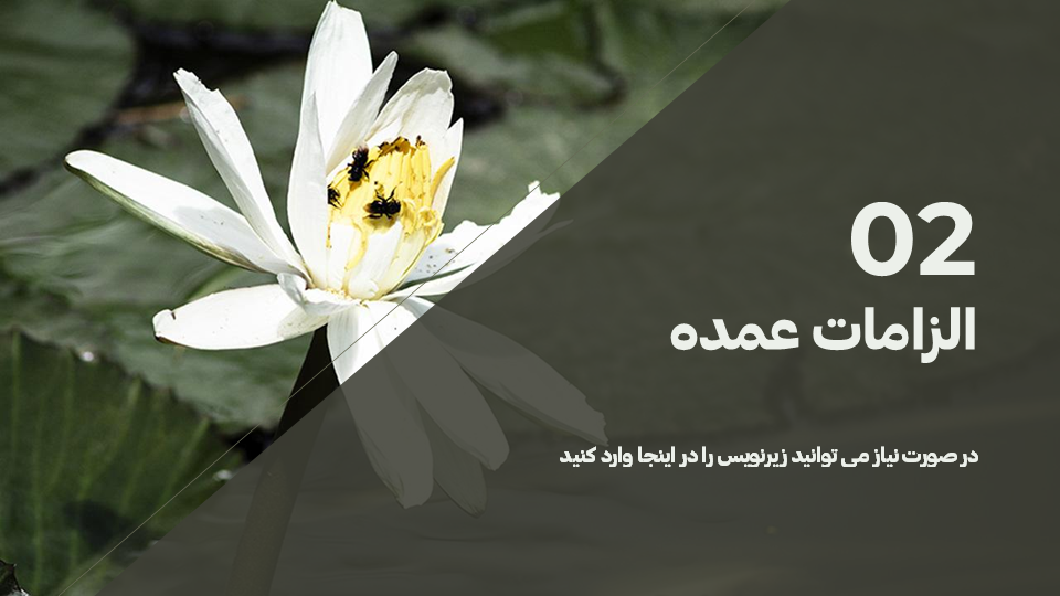 تصویر محصول