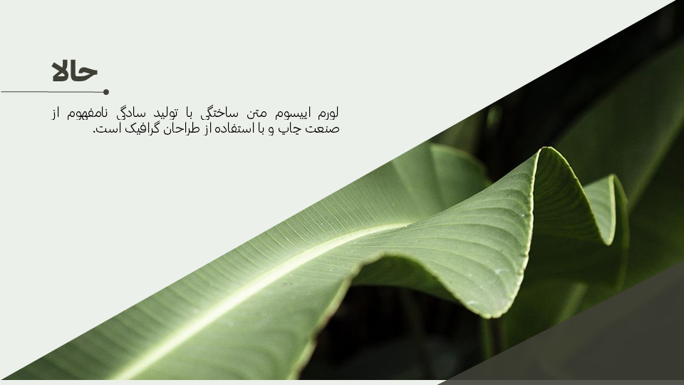 تصویر محصول