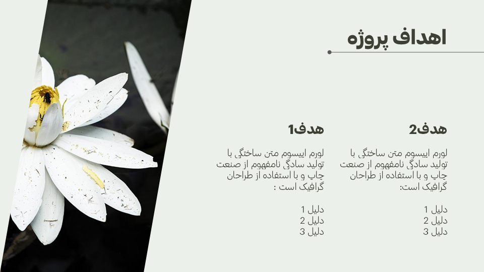 تصویر محصول