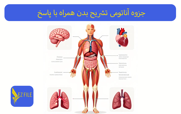کاور محصول