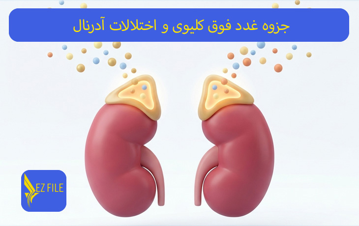 جزوه غدد فوق کلیوی و اختلالات آدرنال