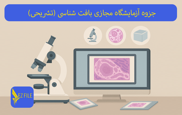 جزوه آزمایشگاه مجازی بافت شناسی (تشریحی)