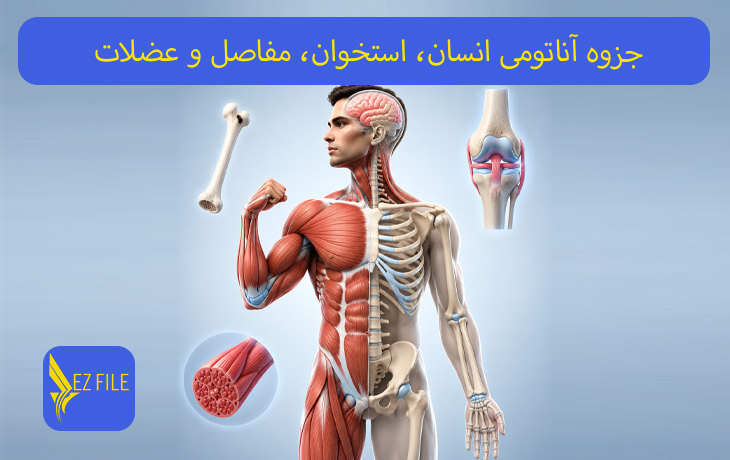 کاور محصول