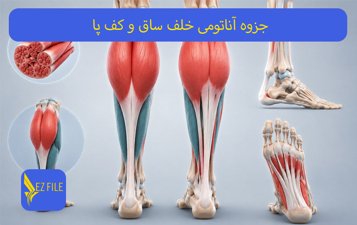 کاور محصول